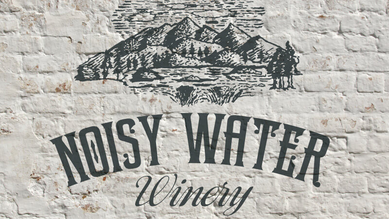 Noisy Water Logo